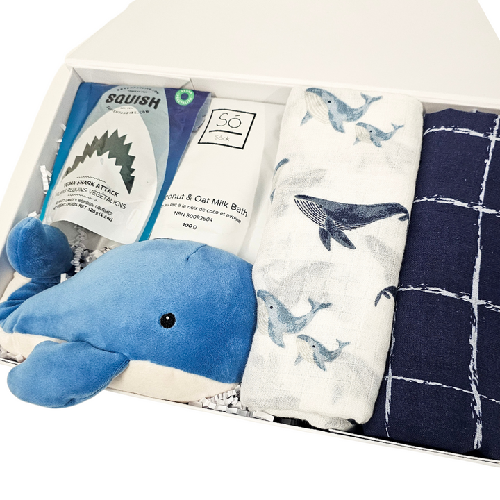 Sea of Snuggles Baby Bundle